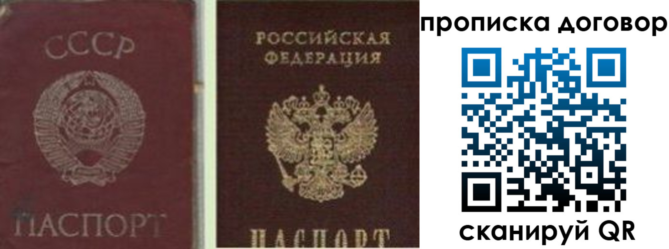прописка гарантия в Соликамске